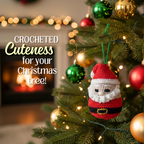 Santa Crochet Ornament