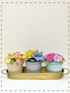 Bloom Gift Set