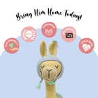Freddy Llama Crochet Toy