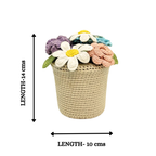 Crochet Bloom Pot