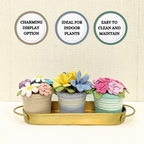 Crochet Bloom Pot