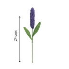 Lavender Single Stem