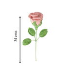 Rose Single Stem