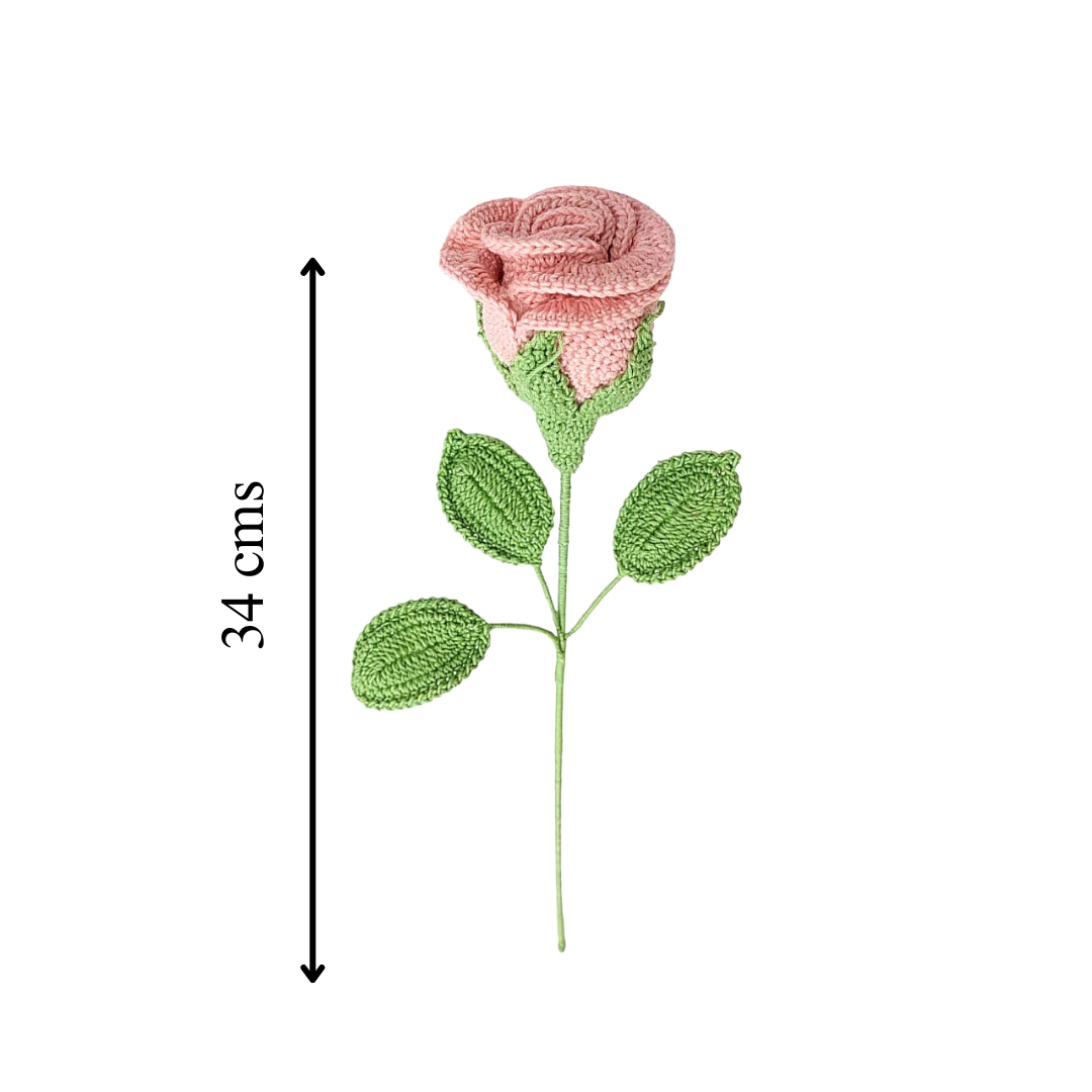 Rose Single Stem