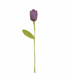 Tulip Crochet Flower