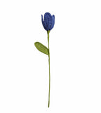 Tulip Crochet Flower