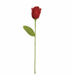 Tulip Crochet Flower