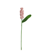 Hyacinth Single Stem