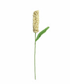 Hyacinth Single Stem