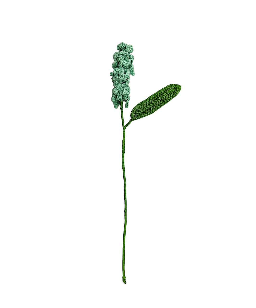 Hyacinth Single Stem
