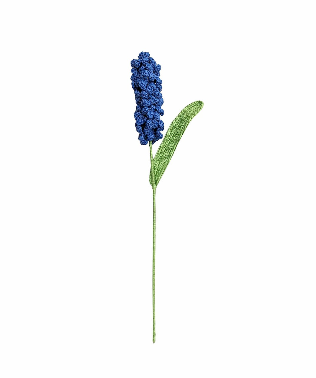 Hyacinth Single Stem