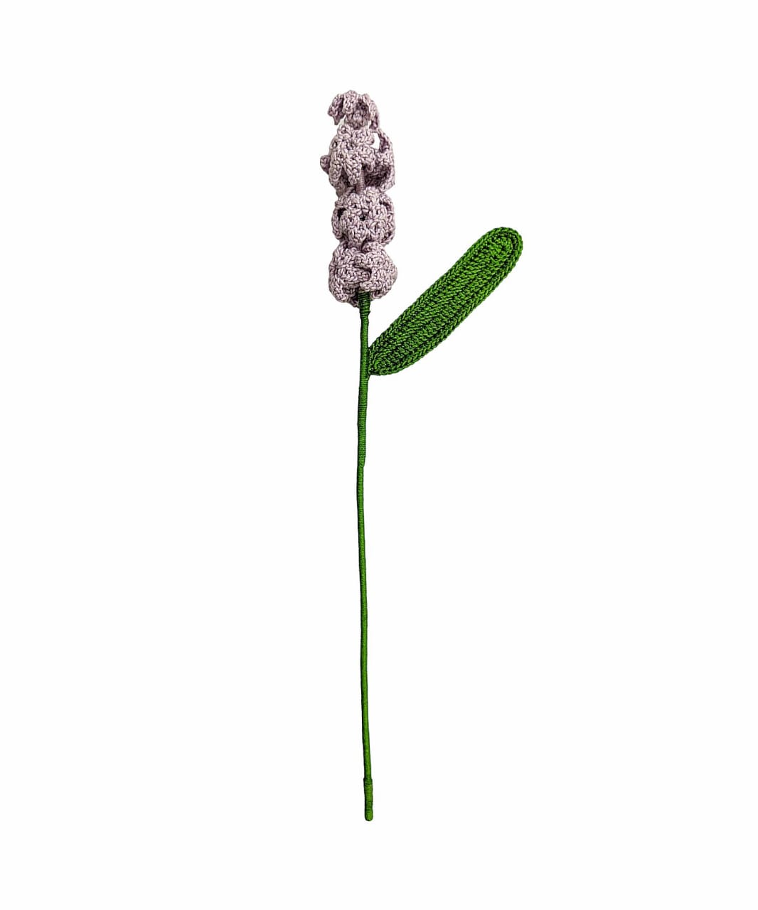 Hyacinth Single Stem