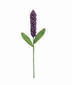 Lavender Single Stem