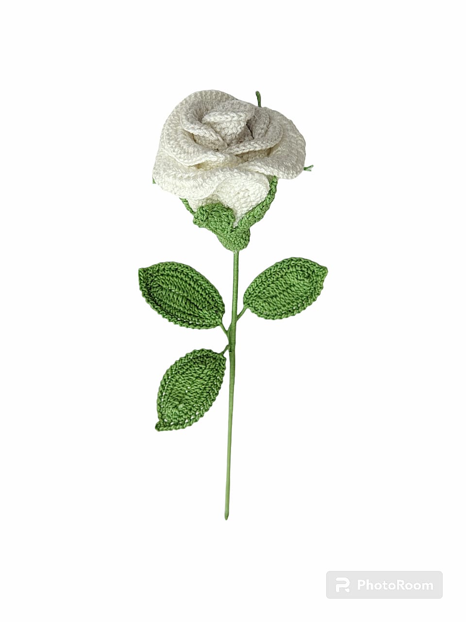 Rose Single Stem