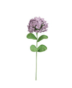 Hydrangea Single Stem