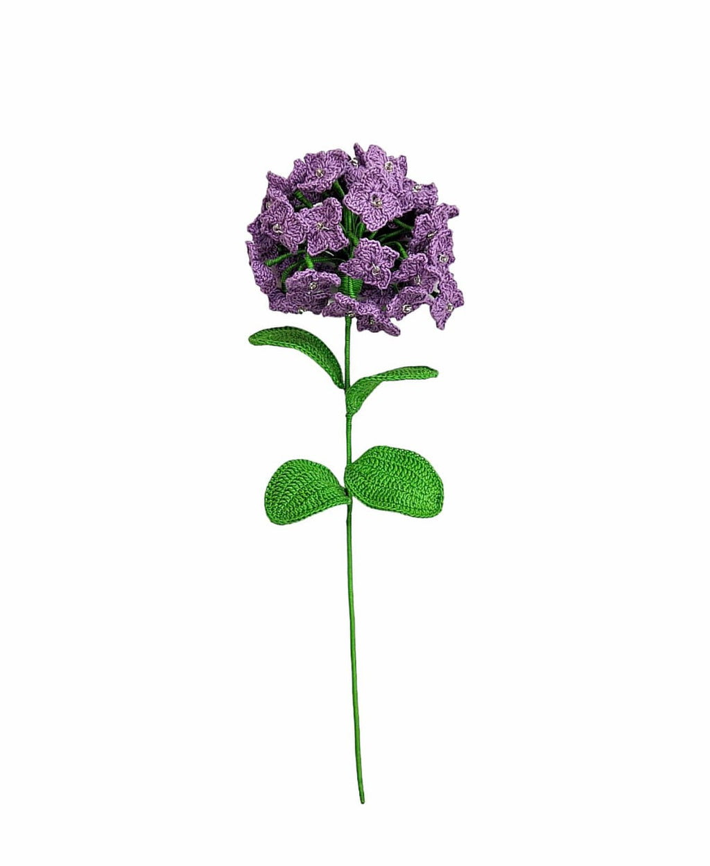 Hydrangea Single Stem