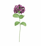 Hydrangea Single Stem